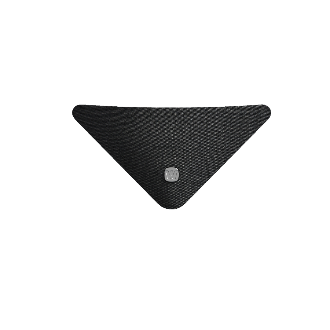 Widex TV Play — Premium TV Streaming Accessory for Widex Hearing Aids